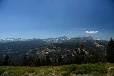 DSC_0238 (Large).JPG